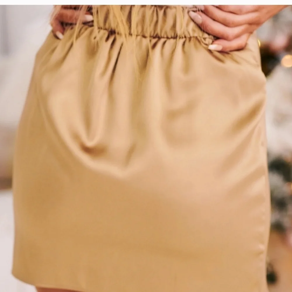Elegant Tan Skirt - Picture 2 of 8